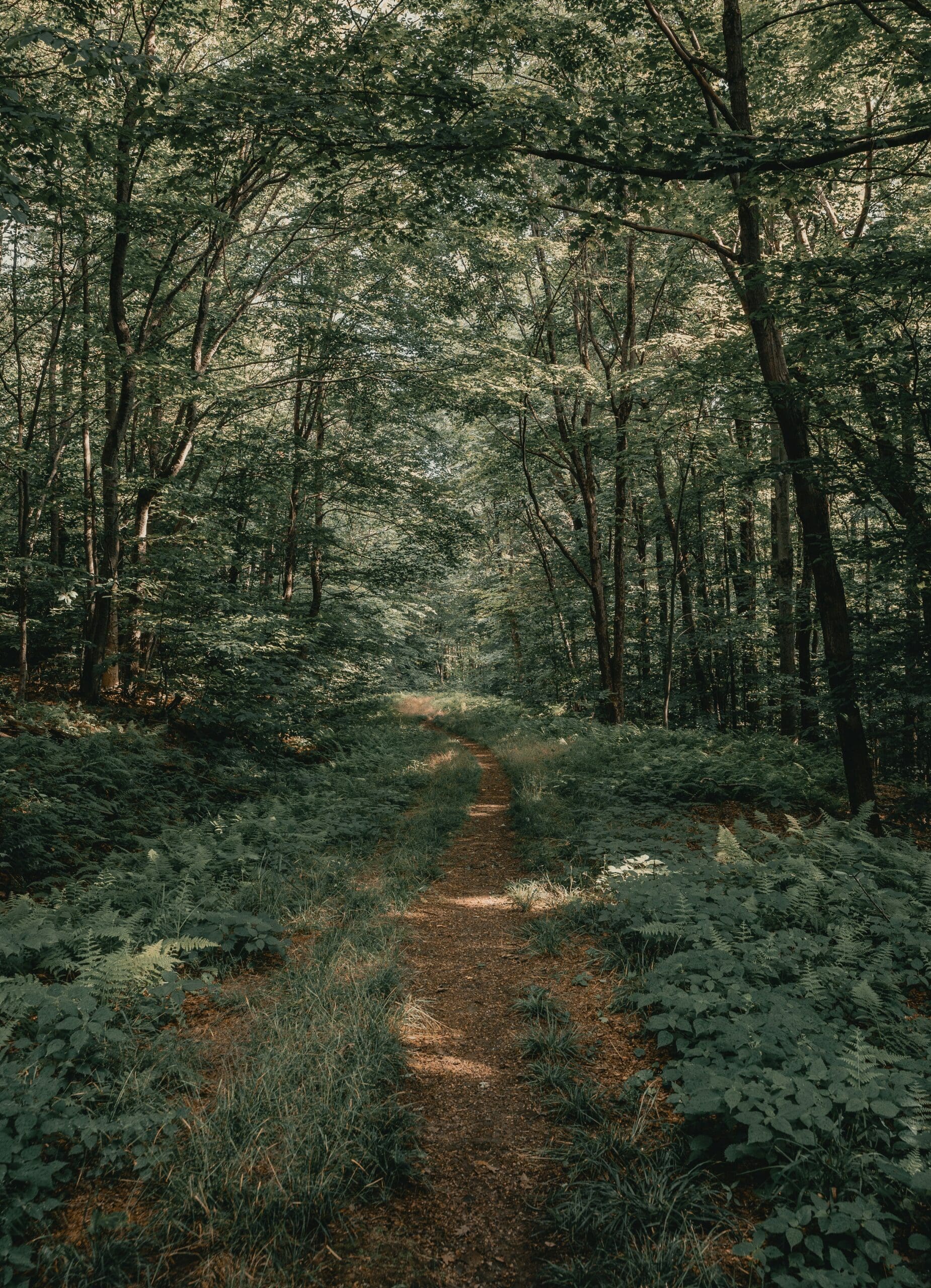 Mindfulness Practices for Women with ADHD